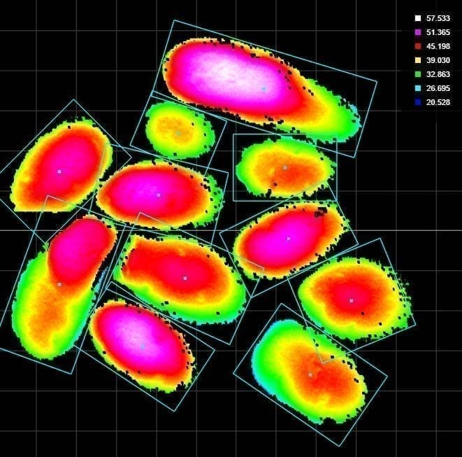 Introducing Surface Segmentation