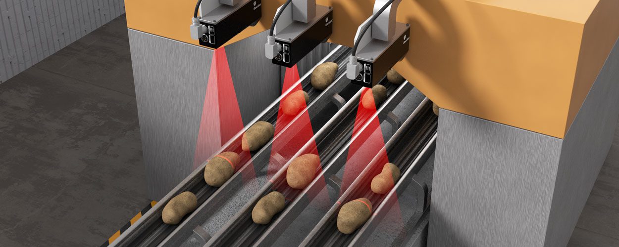 Smart 3D Inspection for Food Processing | LMI Technologies