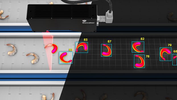 Smart 3D Inspection for Food Processing | LMI Technologies